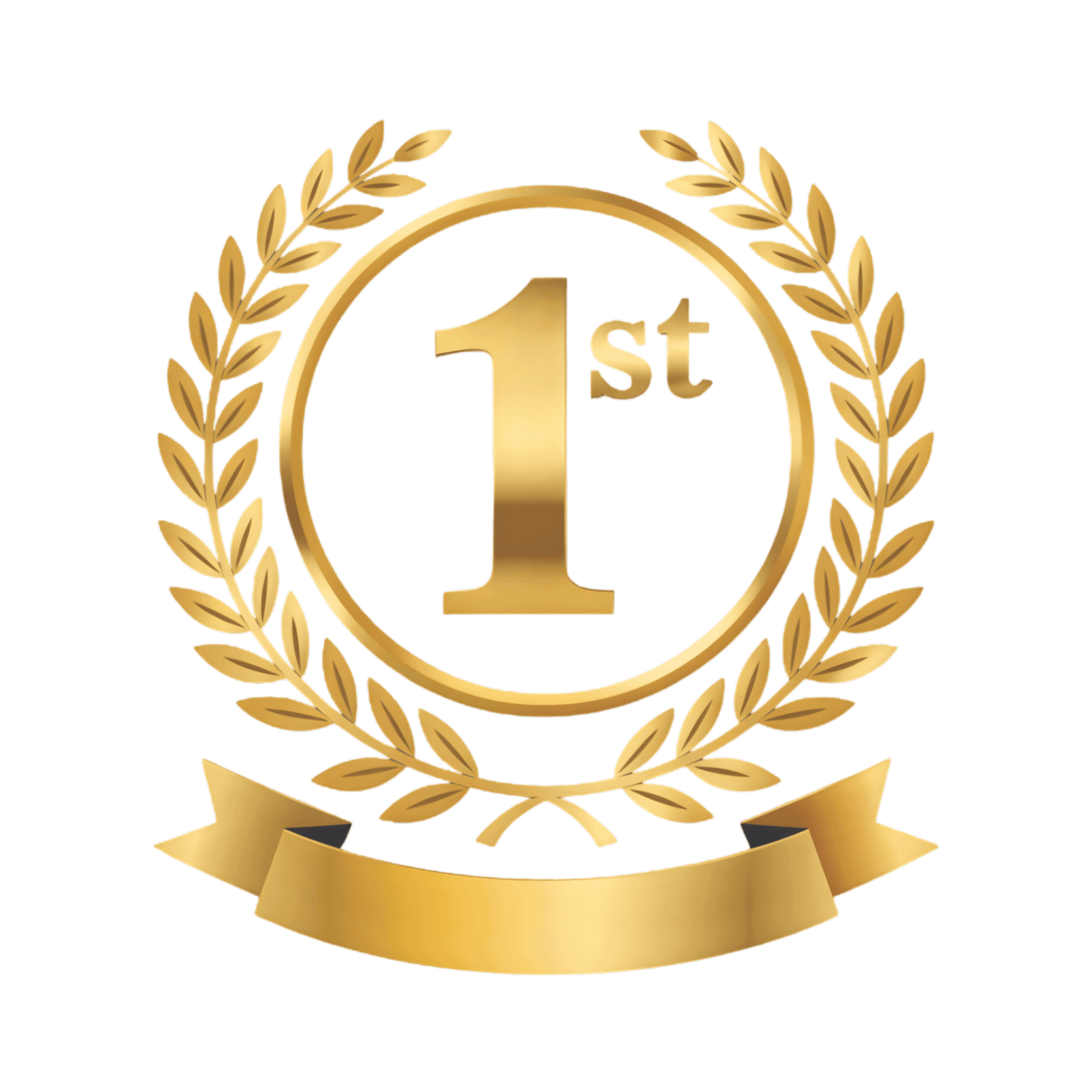 #1 DOM Academy in the World